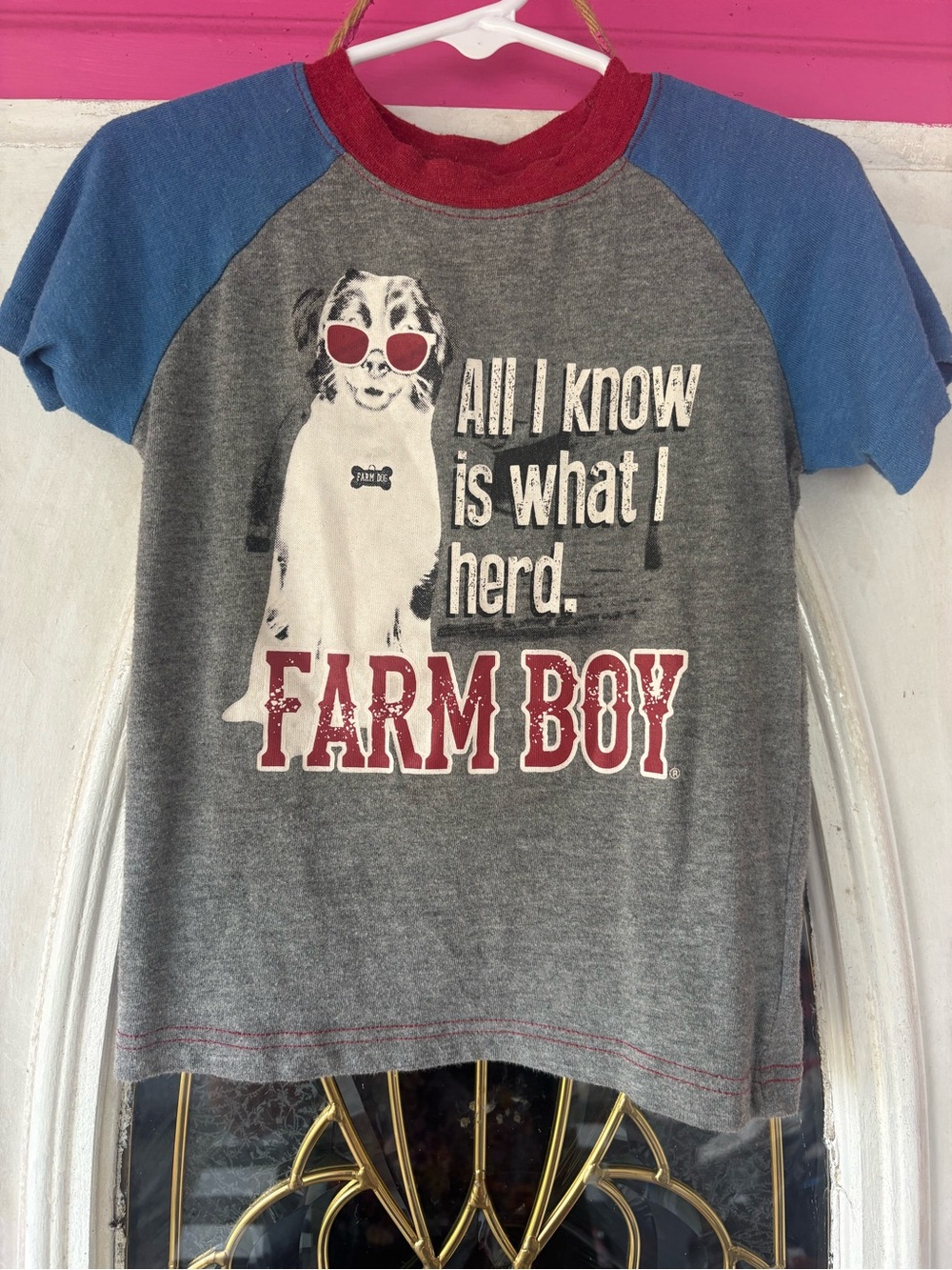 Parker Gray Tee with Blue Sleeves & Red Trim - Farm Boy Graphic